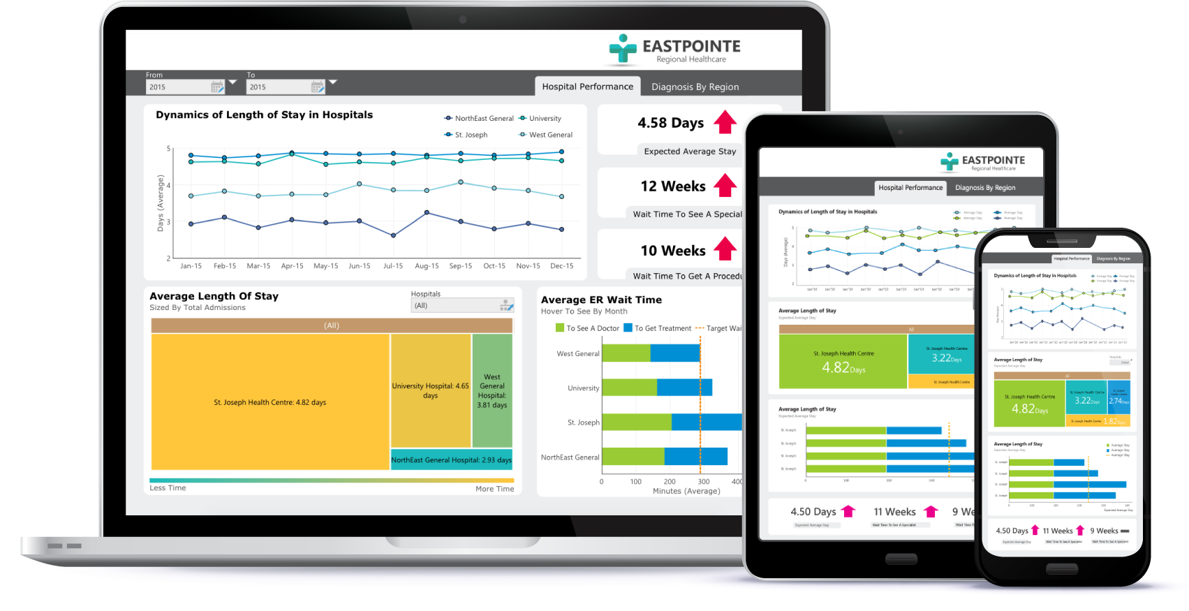Schema van Dundas Data Visualization.