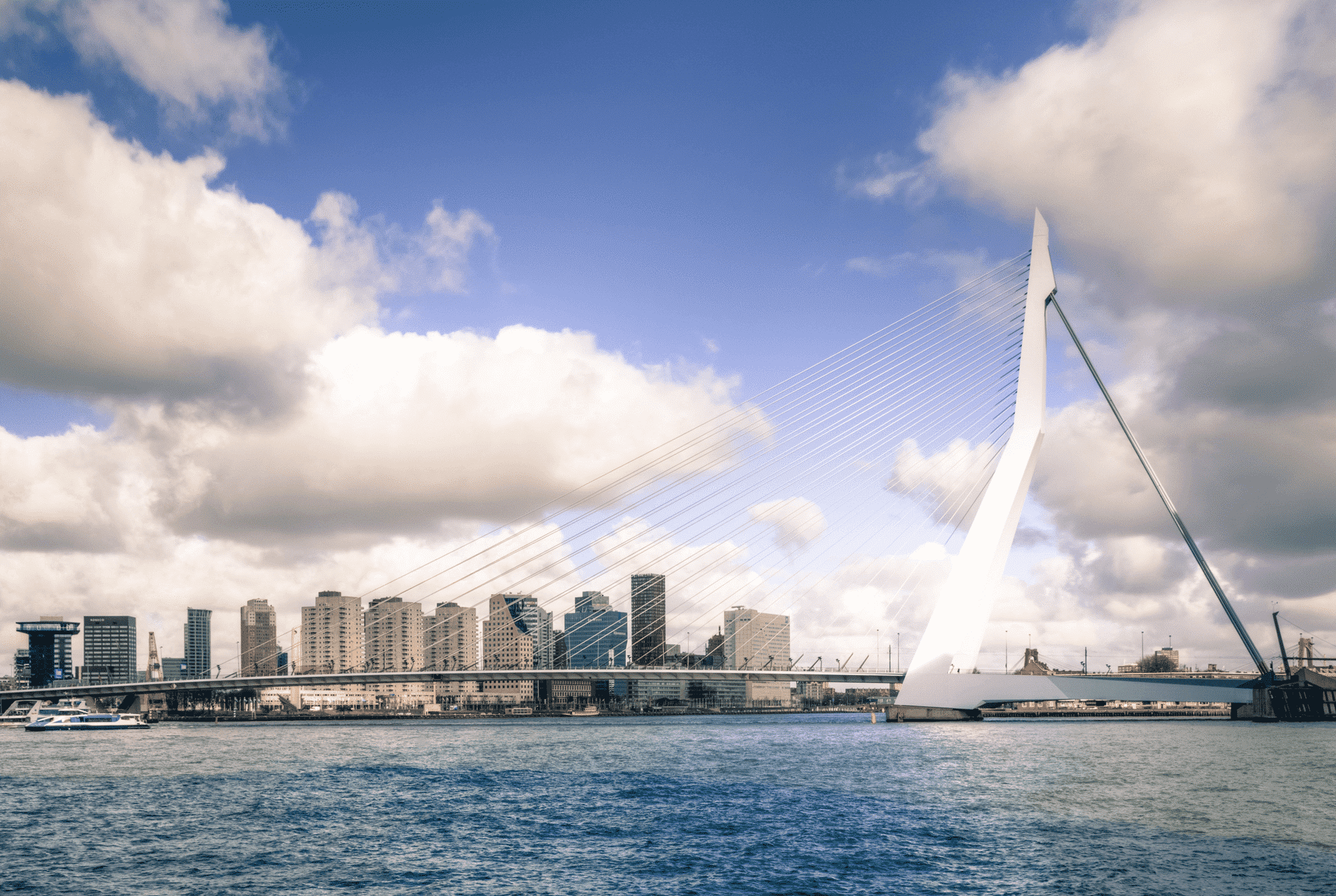 Gemeente Rotterdam | Informatiegestuurd werken