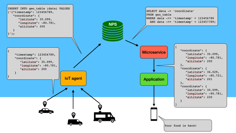 Screenshot van Netezza Performance Server software.