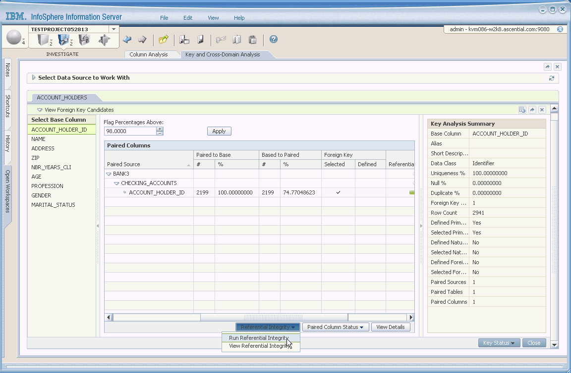 Afbeelding van IBM Infosphere Information Analyzer tools.