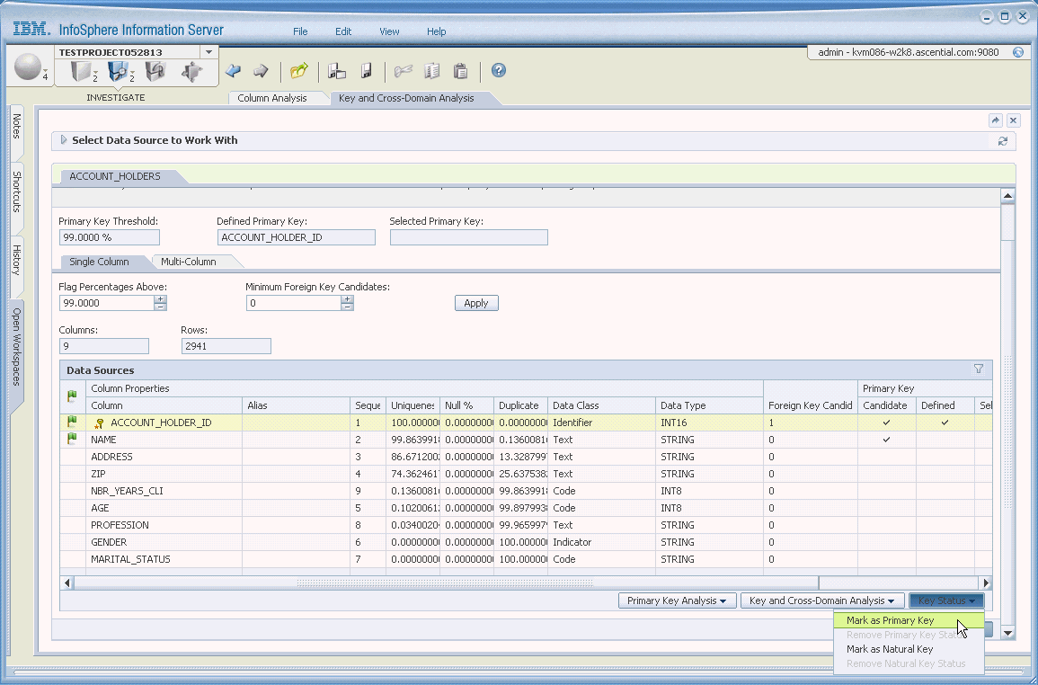 Schema van Infosphere Information Analyzer.