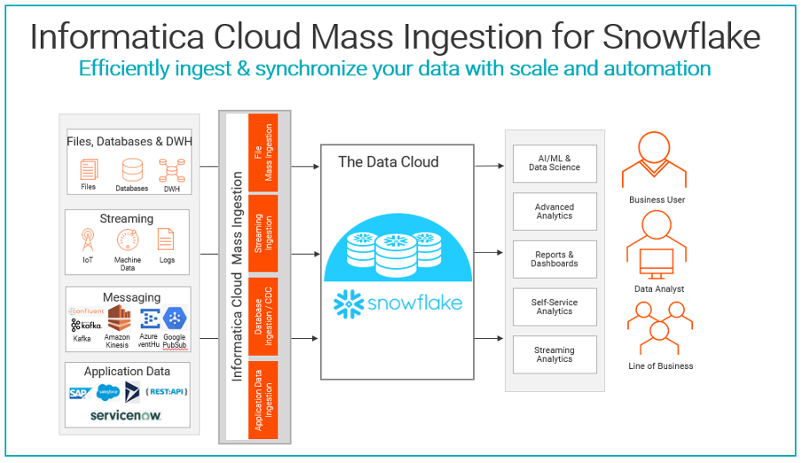 Screenshot van Informatica Cloud Data Profiling software.