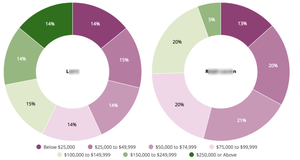 Screenshot van Looker Blocks software.