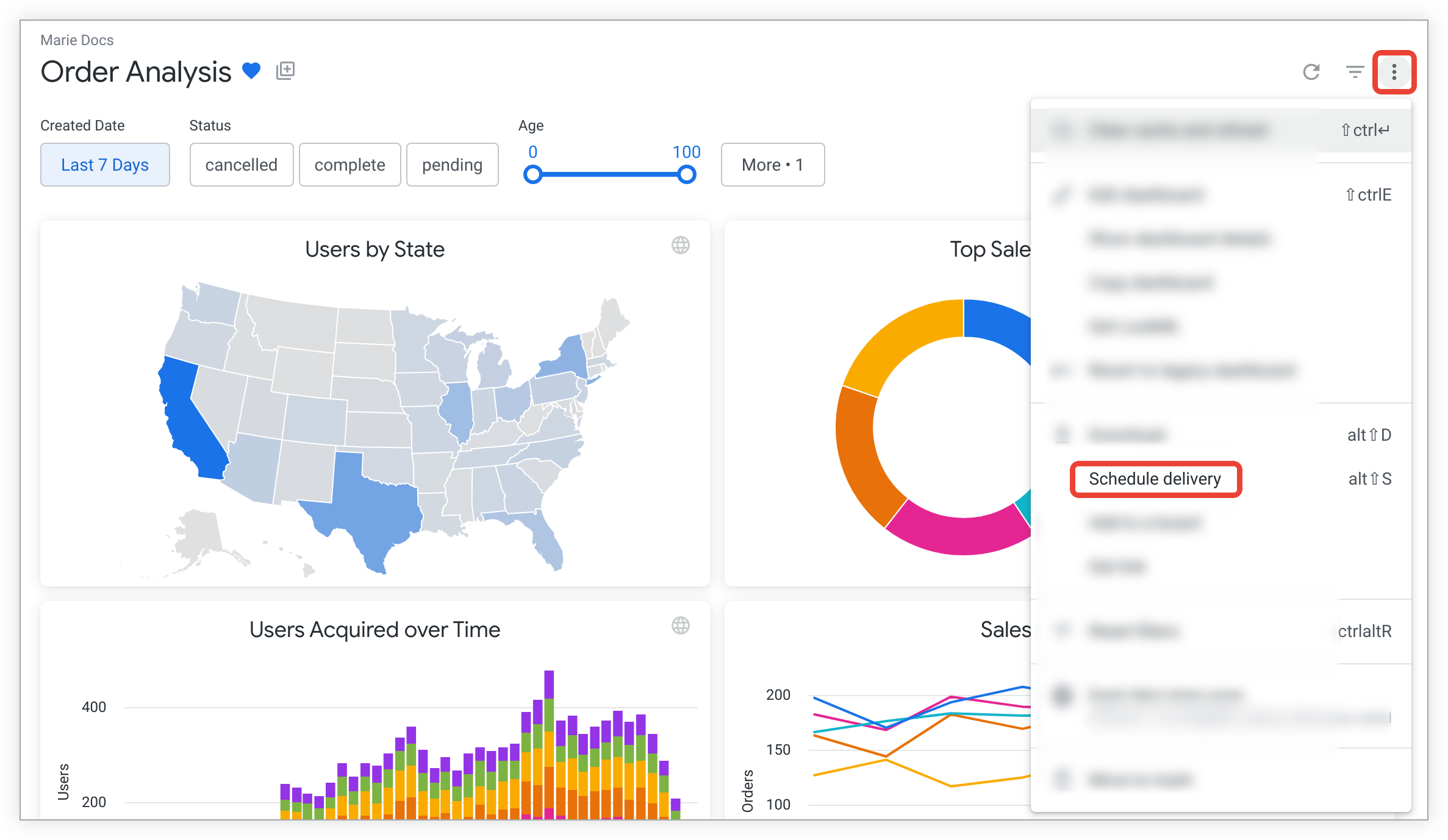 Screenshot van Looker Server software.