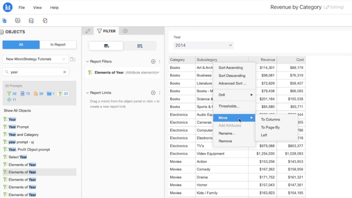 Screenshot van MicroStrategy Report Services software.