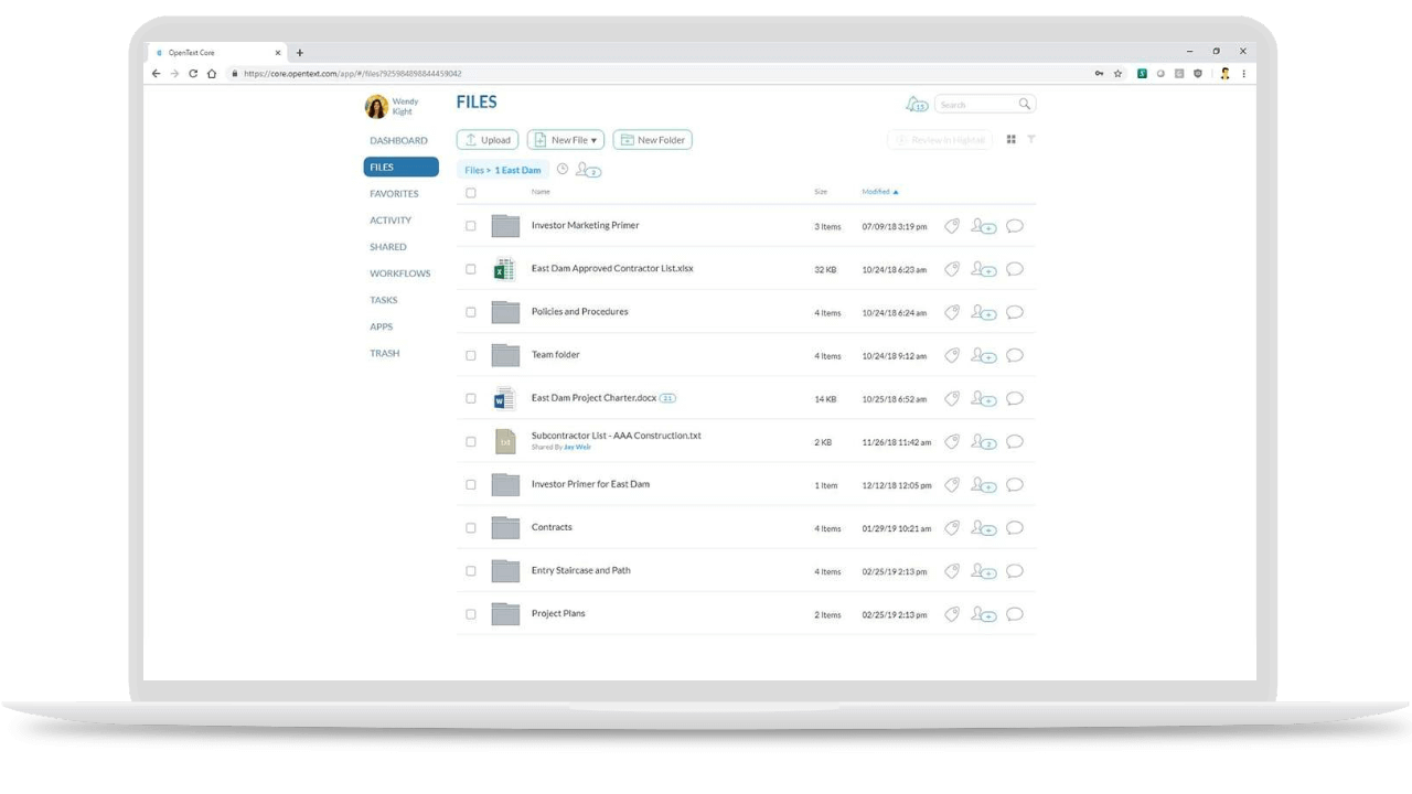 Schema van OpenText MIM.