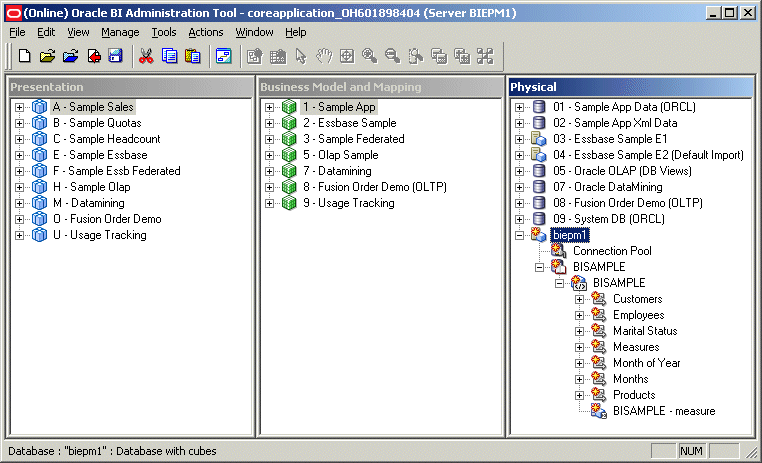 Screenshot van Oracle Essbase software.