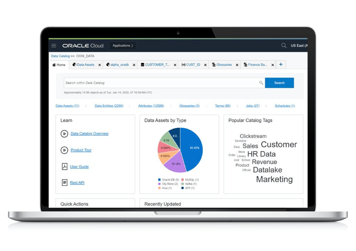 Schema van Oracle Data Catalog.