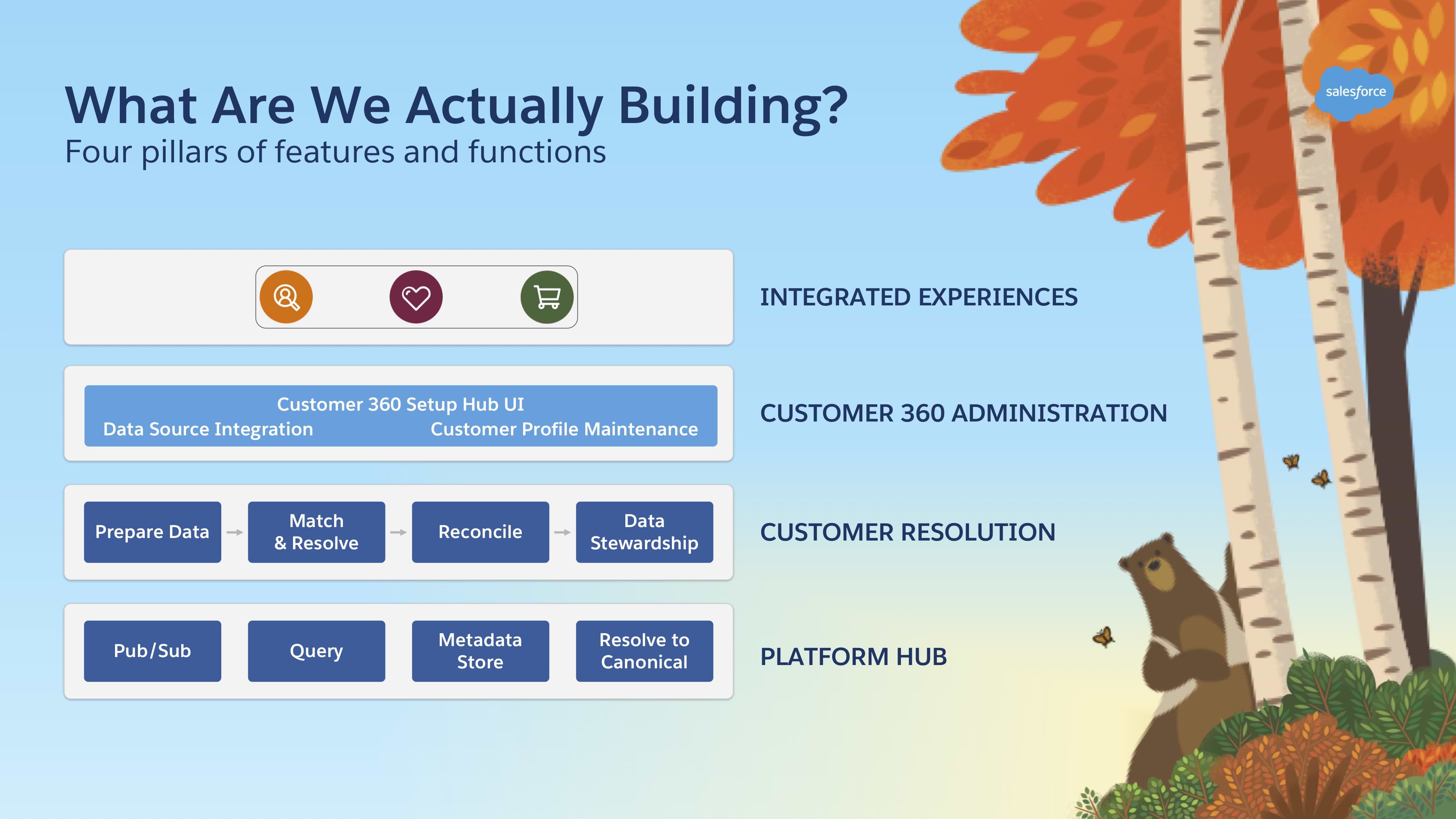 Screenshot van Salesforce Customer 360 software.