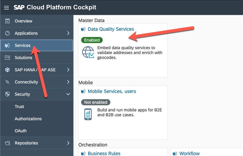 Afbeelding van DQM Microservices tools.