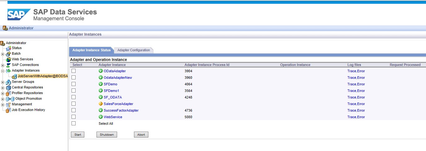 Afbeelding van SAP Data Services tools.