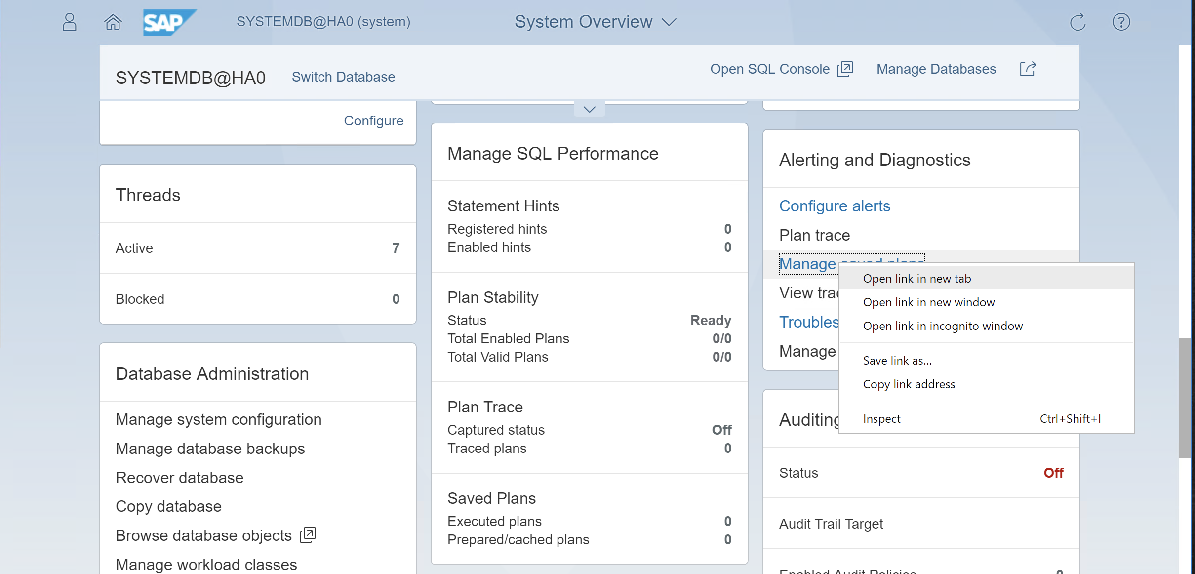 Screenshot van SAP HANA software.