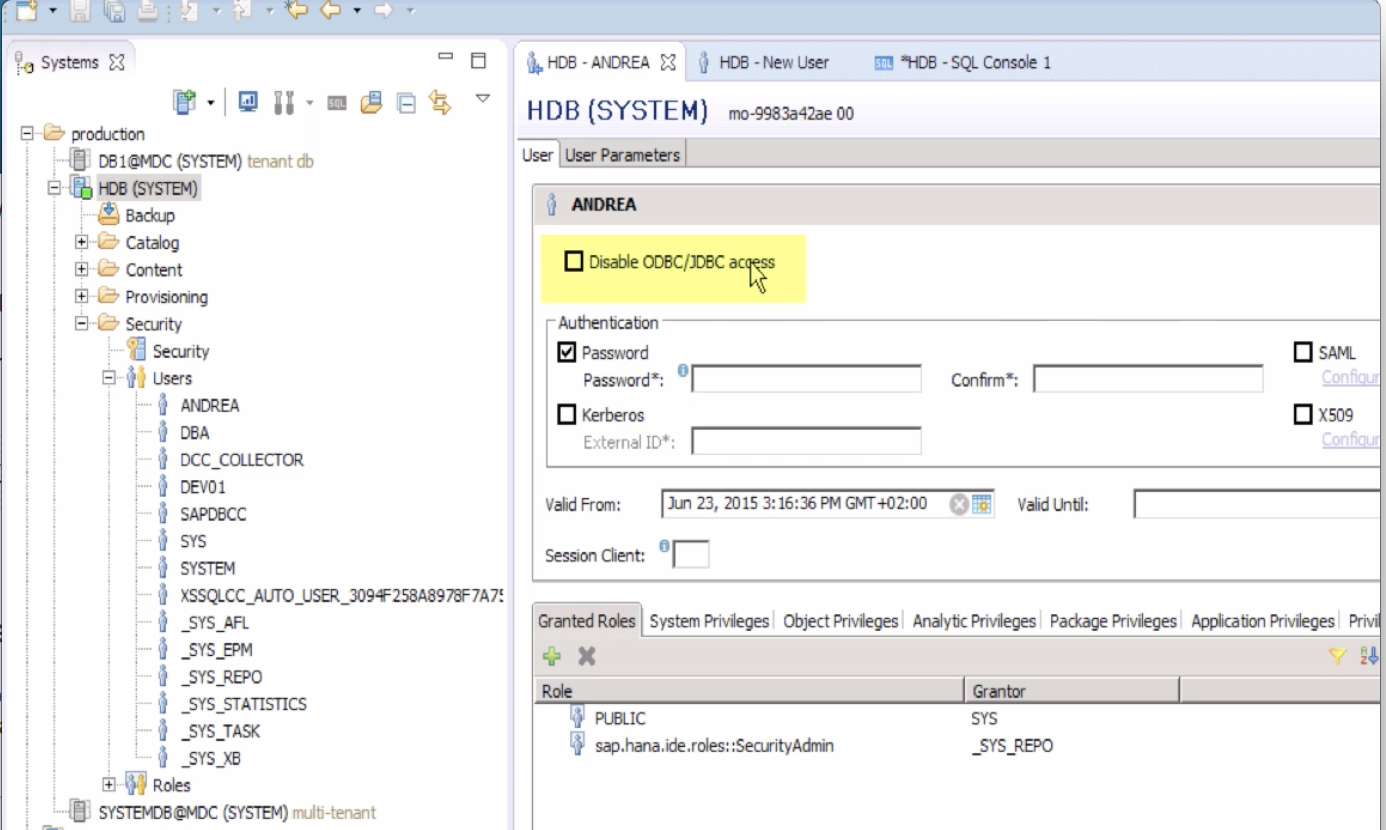 Schema van SAP HANA.