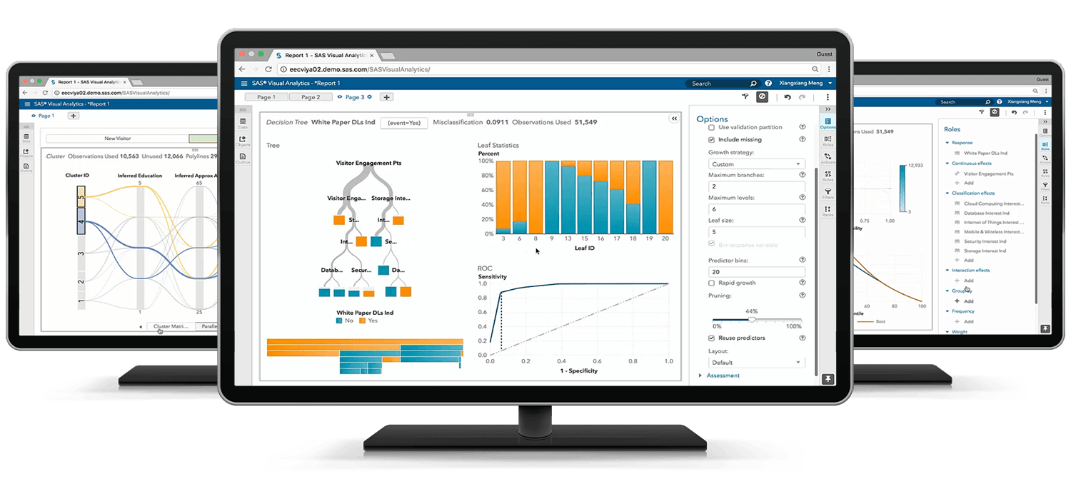 Afbeelding van SAS Business Analytics tools.