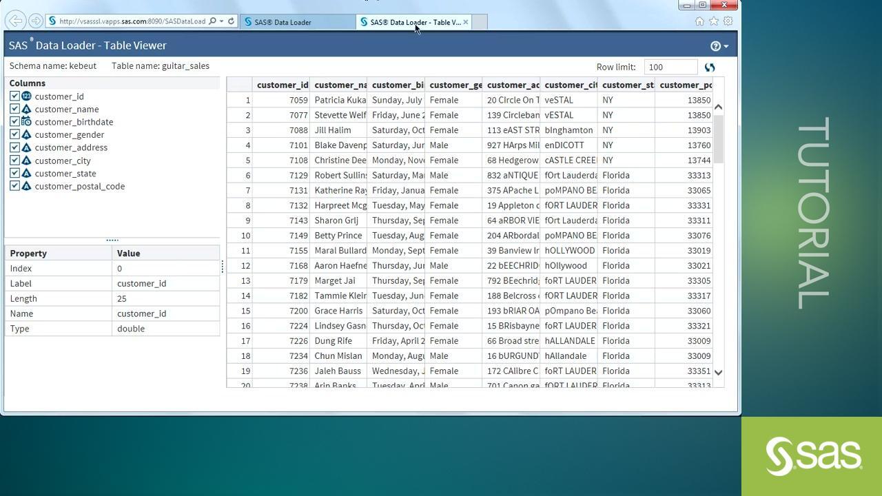 Afbeelding van SAS Data Loader tools.