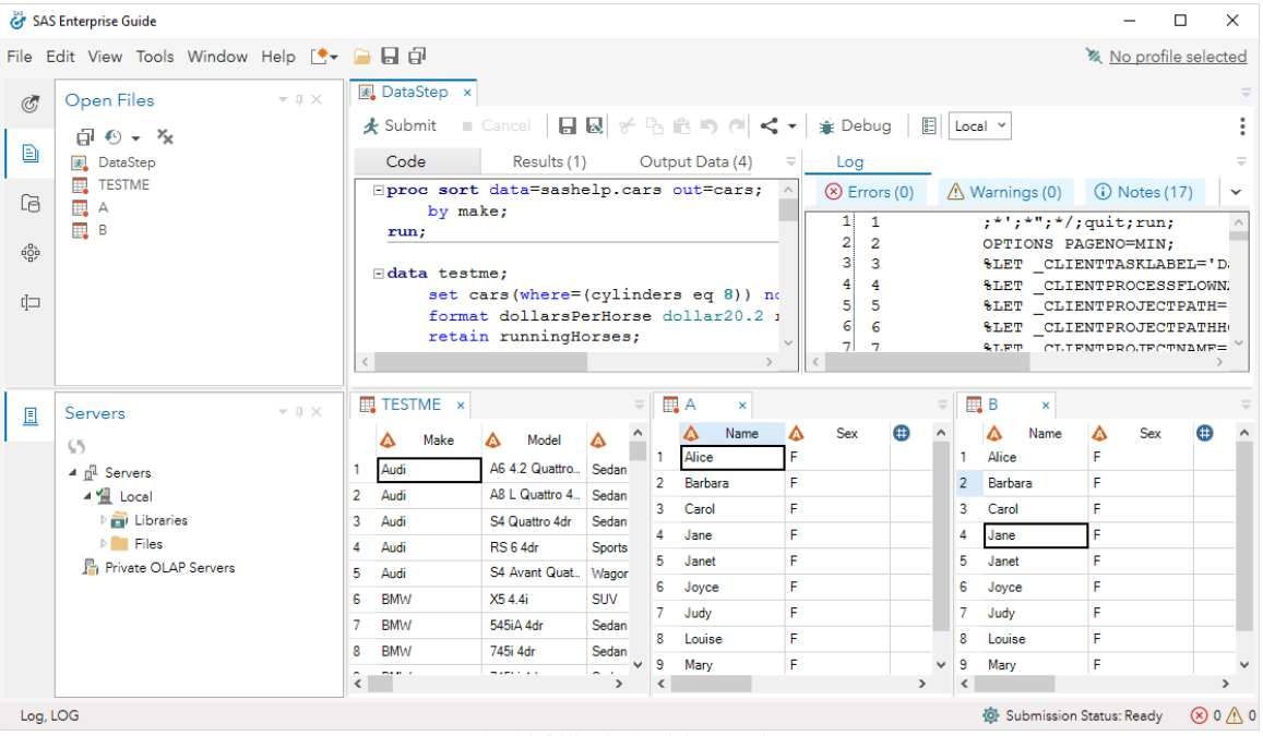Screenshot van SAS Enterprise Guide software.