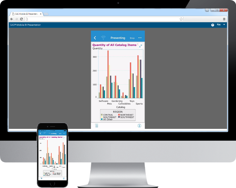 Screenshot van SAS Mobile BI software.
