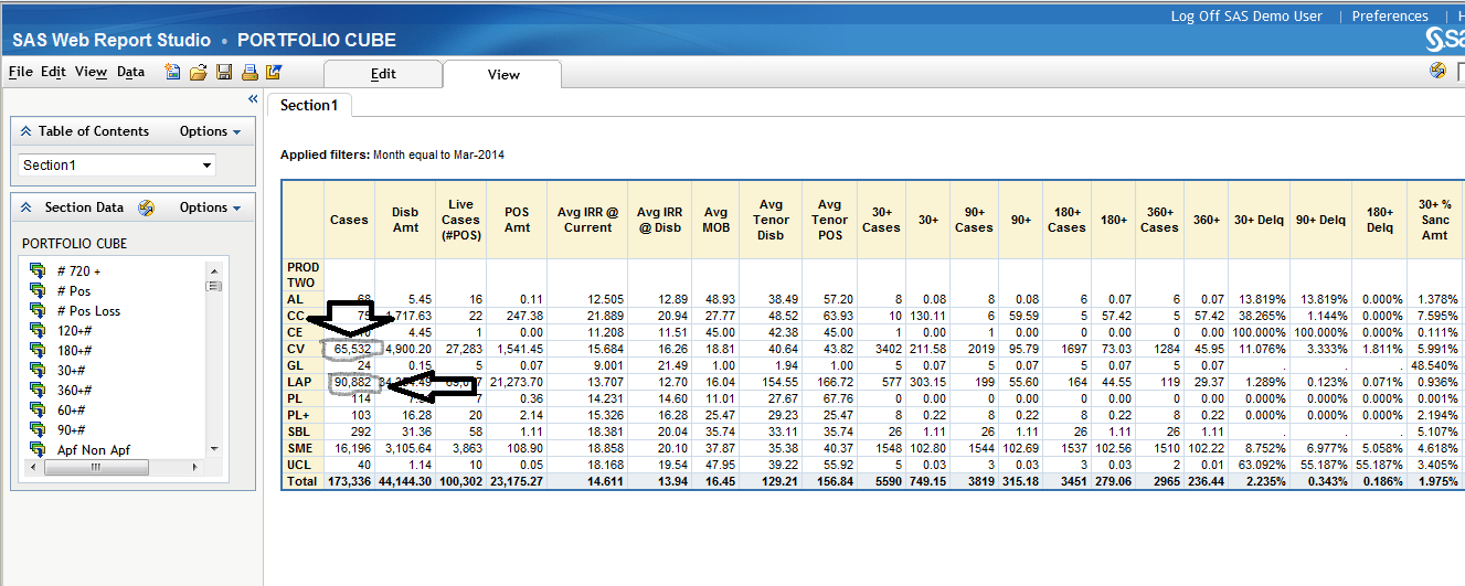 Screenshot van SAS Web Report Studio software.