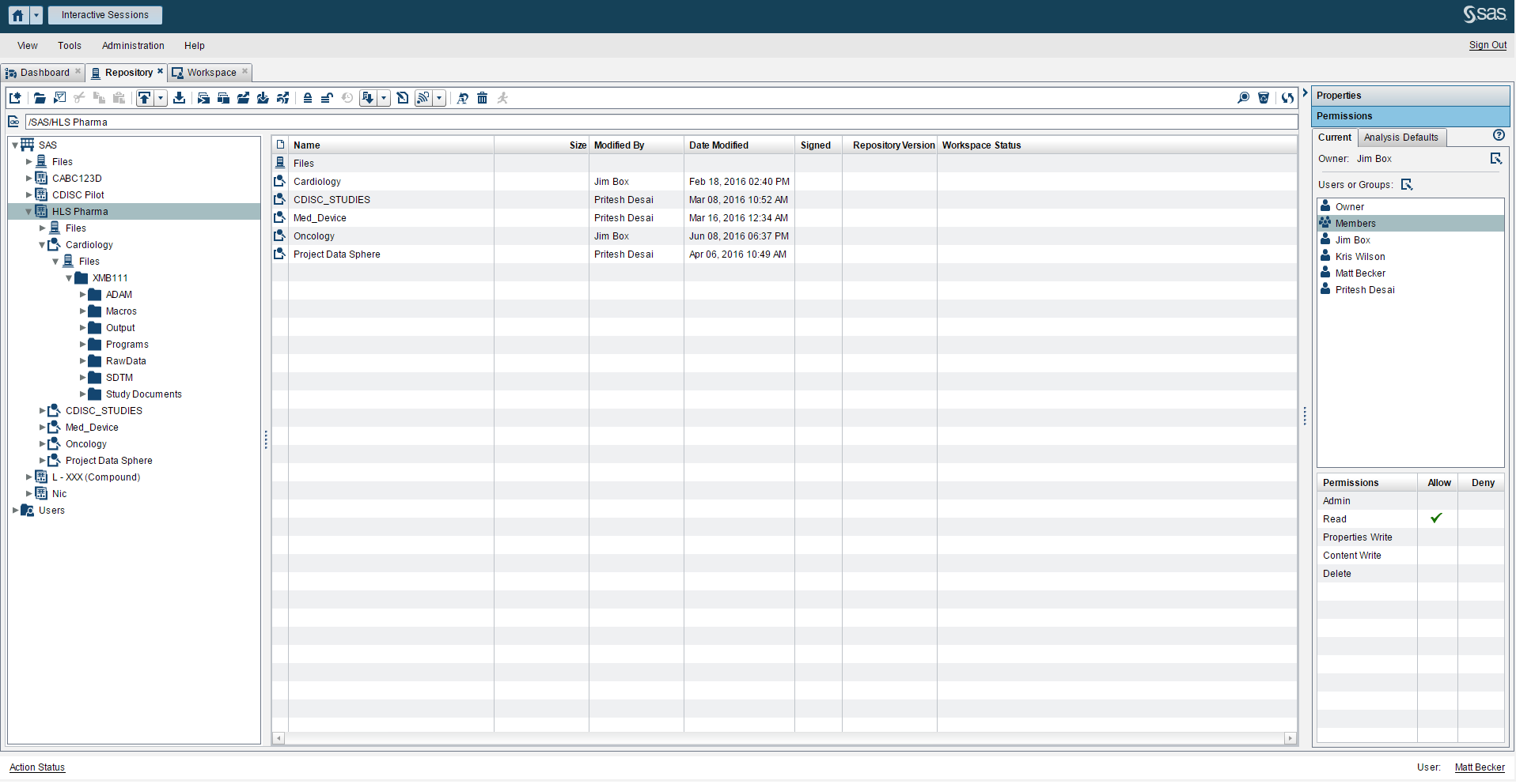 Schema van SAS Clinical Data Integration.